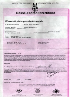 H�ndi7